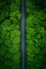 Aerial view of asphalt road winding through green springtime forest, Generative AI