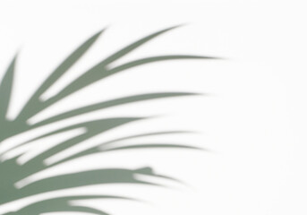 Fototapeta premium 光が差し込む明るい室内と観葉植物の影