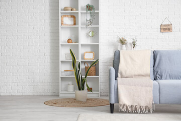 Interior of living room with comfortable sofa and shelf unit