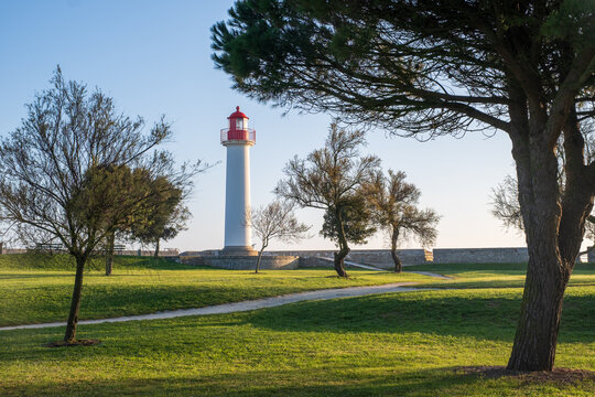 april, Spring, Quai Valin, Charente Maritime, Nouvelle-Aquitaine, france, Red, lighthouse, tree, landscape, park, old, sky