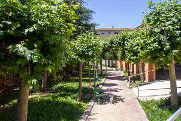 View of a walk in Utrillas