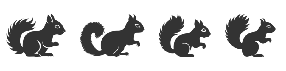 Fotobehang Squirrel silhouette set. Vector illustration © YULIIA