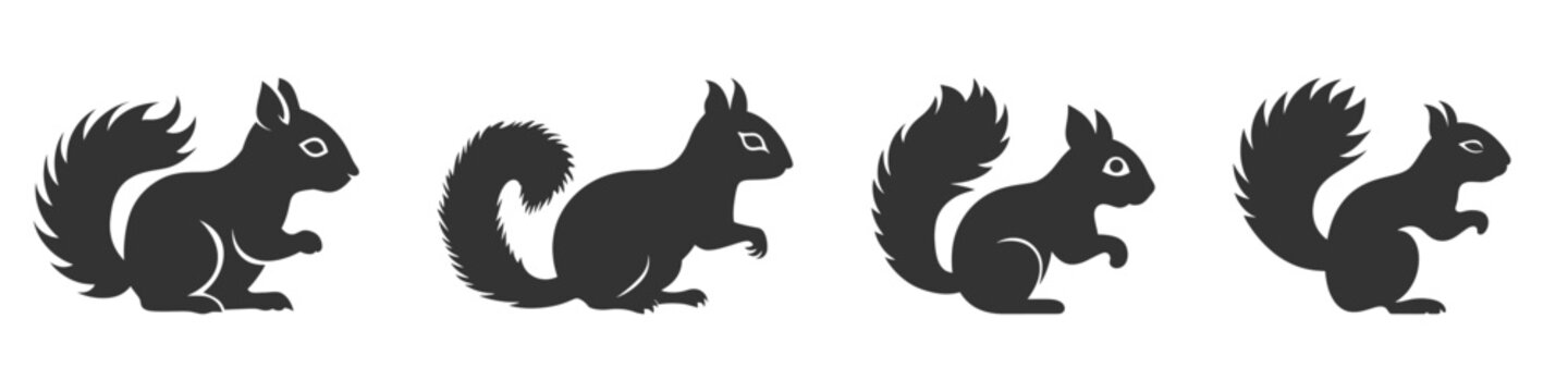 Squirrel silhouette set. Vector illustration