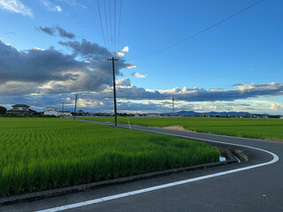 Fototapeta premium 日本の田園風景。夕暮れ時に見る田舎の景色。
