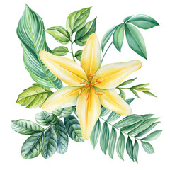 Bouquet of lily flower, eucalyptus branche, leaves of elegant greenery, Watercolor botanical illustration. Floral design