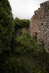 Abandoned Farmhouse in Ruins Amidst Overgrown Greenery with Forest and Mountains in the Background on a Cloudy Day