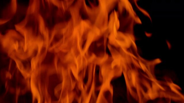 orange flames surge upward on a black background, forming bold fiery shapes with flowing motion, glowing heat, and dramatic contrast in an intense abstract blaze scene.