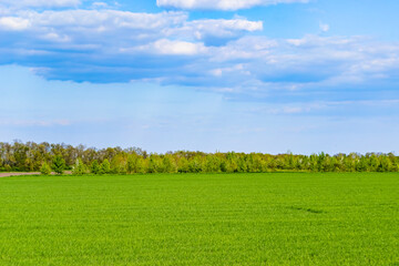 Fototapeta premium Beautiful horizon scenery in village meadow on color natural background