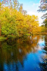 Sunny autumn mood at a small creek in Berlin, Germany.