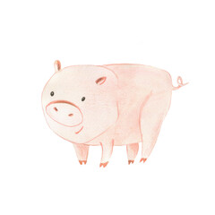 Watercolor illustration of farm animals. Funny drawing of a pig