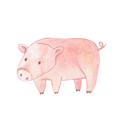 Watercolor illustration of farm animals. drawing of a pig
