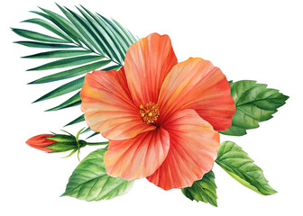 Tropical orange flower isolated, watercolor illustration, hibiscus flower and palm leaf, bouquet for greeting card - obrazy, fototapety, plakaty