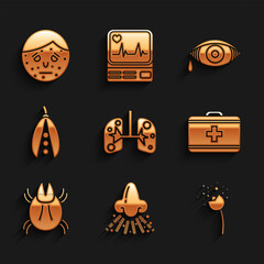 Set Lungs, Runny nose, Flower producing pollen, First aid kit, Parasite mite, Kidney beans, Reddish eye allergic conjunctivitis and Face with psoriasis or eczema icon. Vector