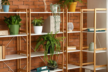 Shelves with plants and folders near brick wall at home office