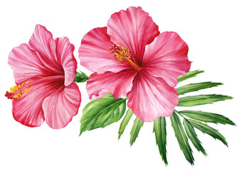 Tropical flora isolated background, hibiscus and palm leaf, Beautiful watercolor botanical painting, leaves and flowers 