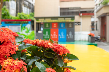 garden with flowers and different colors litter bins for garbage sorting
