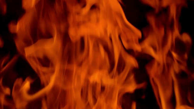 orange flames surge upward on a black background, forming bold fiery shapes with flowing motion, glowing heat, and dramatic contrast in an intense abstract blaze scene.