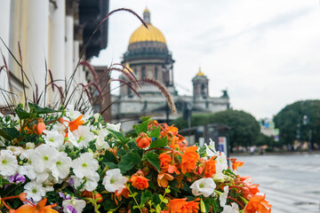 background with flowers in flowerpots outdoor close-up, landscape design element