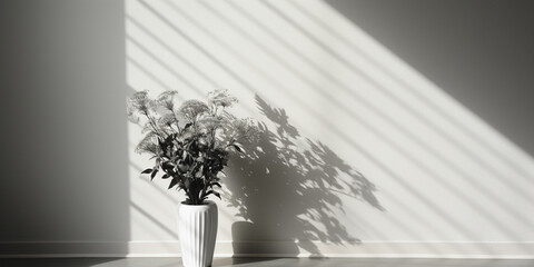 white tones with a play of light and shadow on the wall and floor