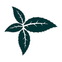 Simple and attractive leaf vector