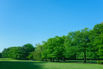 Green Park