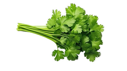 Fresh raw organic coriander on white isolated on clear png background and transparent background. Vegetable and food concept for health, AI generative. 