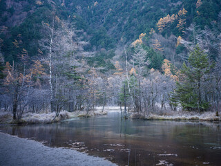 上高地・田代湿原