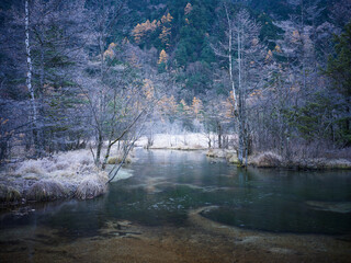 上高地・田代湿原