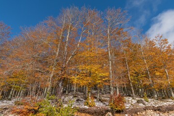 Monte Livata - Campo dell'Osso - Suibiaco - Roma - Lazio. Parco Regionale dei Monti Simbruini