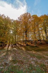 Obraz premium Monte Livata - Campo dell'Osso - Suibiaco - Roma - Lazio. Parco Regionale dei Monti Simbruini