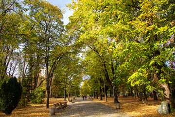Naklejka premium Autumn in the Park Shumen - Bulgaria