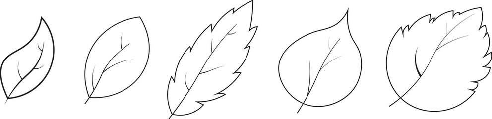 Bundle set of outline illustration of vary leaves, black line isolated white