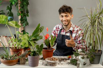 Smiling Arabic man carrying for green plants at home. Happy male gardener or florist take care of domestic flowers. Gardening concept.