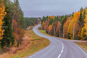 Fototapeta premium Straße in Schweden – Herbst – Roadtrip 