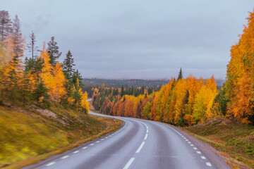 Obraz premium Straße in Schweden – Herbst – Roadtrip 