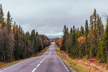 Straße in Schweden – Herbst – Roadtrip 