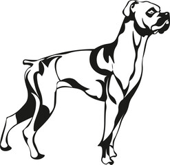 Cartoon Black and White Isolated Illustration Vector Of A Boxer Bull Mastiff Dog Standing