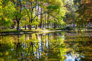Fototapeta na wymiar Macedonia - Skopje, October 29, 2023, Skopje city park with yellowed leaves on the trees in autumn