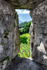 Scenery colorful spring tourist view from the destination and region around Werdenberg Castle, Switzerland or Schloss Werdenberg near the city of Bucks
