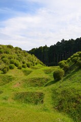 山中城跡 障子堀
