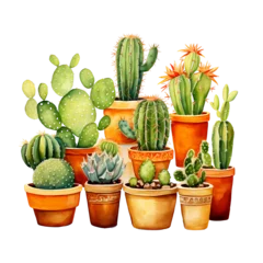 Fototapete Kaktus im Topf watercolor painting of cactus in pots folkloric theme