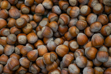 Hazelnut nut health organic food in the box in store