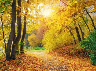 Autumn Forest. Yellow leaves, fall season