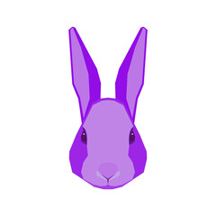 Rabbit Forest Animal Head Imaginaru Fun Colored Icon
