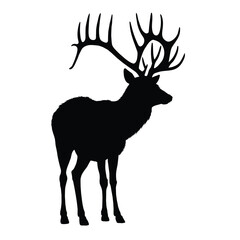 White Background Horned Deer Silhouette