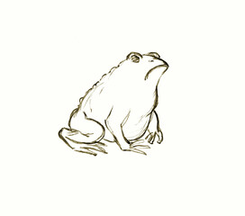 Pencil drawing. 2 Egyptian plague. Invasion of toads