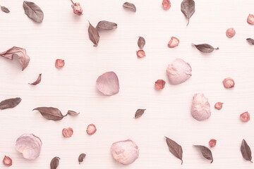 Pretty background of pink style petals and leaves spread out on a light wood table with random scattered petals and leaves.