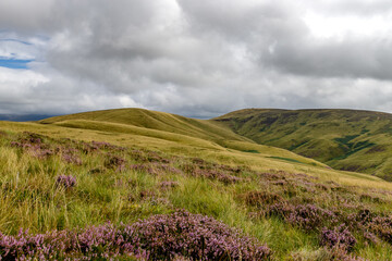 landscape with fields