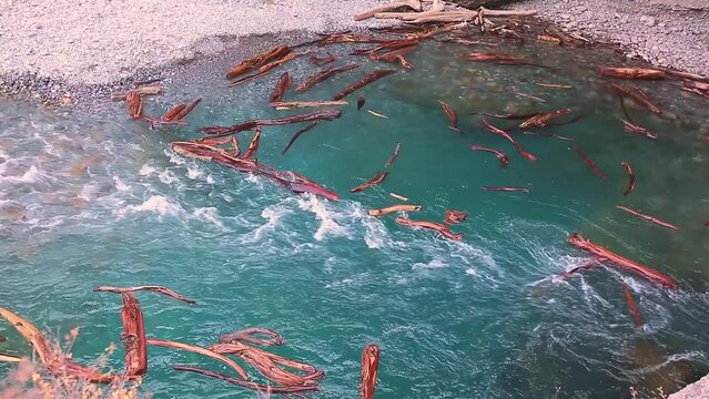 The flow of water carries the logs into the funnel. A stormy river washes away a forest, a flood.