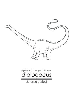Diplodocus, a Jurassic period diplodocid sauropod dinosaur. Herbivorous creature characterized by its long neck and tail. Black and white line art, perfect for coloring and educational purposes.